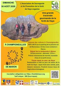 Une grande traversée gourmande de la forêt de Haye 2026